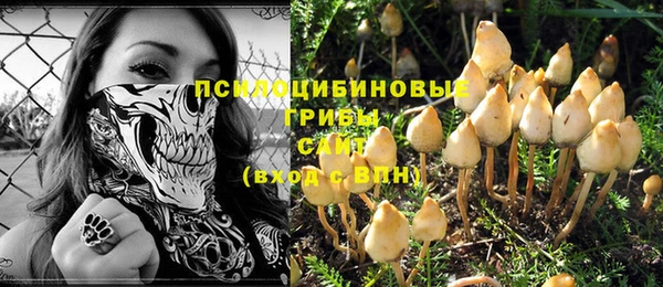 эйфоретик Лихославль